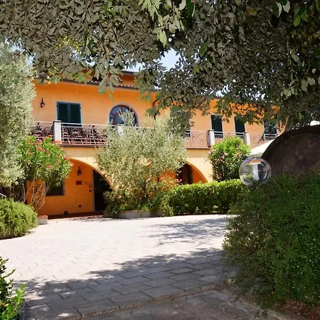 Poggio Degli Olivi-3